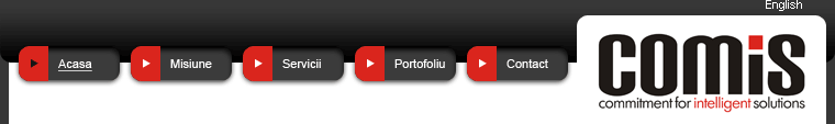 Comis - commitment for intelligent solutions